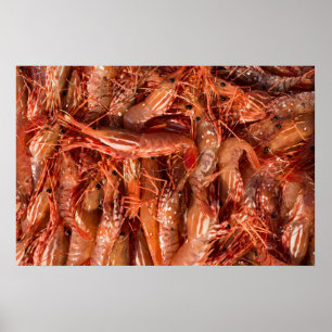Poster Camarões deliciosos