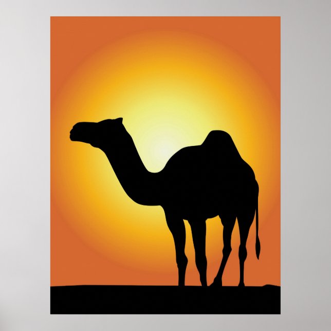 Poster Camel (Frente)