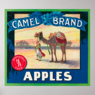 Pôster Camel Apple Label - Washington State