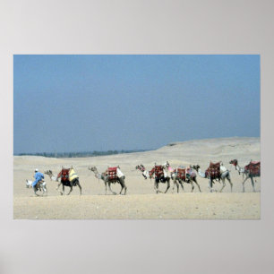 Poster Camel Caravan atravessando o Saara