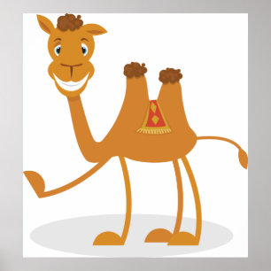 Poster Camel Engraçado