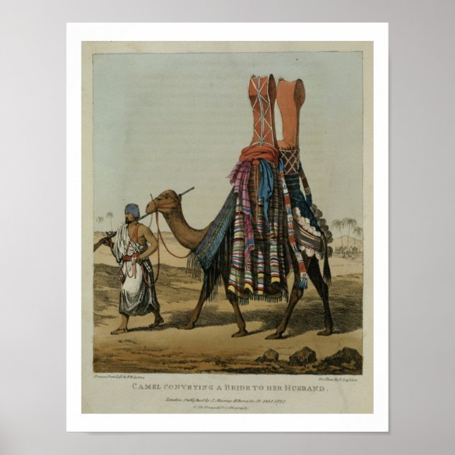Poster Camel transportando uma noiva ao marido, gravada p (Frente)