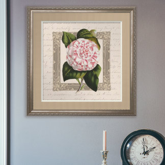 Poster Camellia Chateau Chic Vintage Botânica