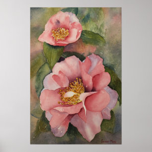 POSTER - Camellia in Bloom