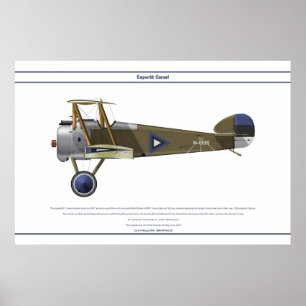 Poster Camelo Estónia