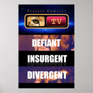 POSTER CAMELOT DO PROJETO
