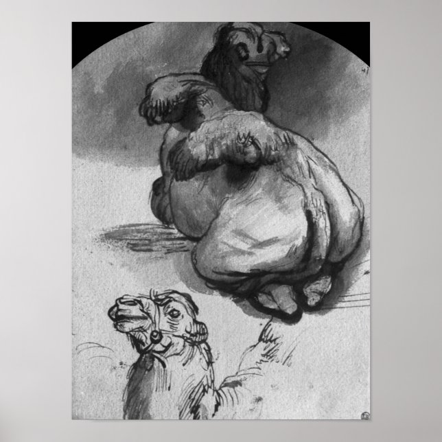 Pôster Camels (Frente)