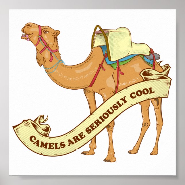 Poster Camels are cool (Frente)