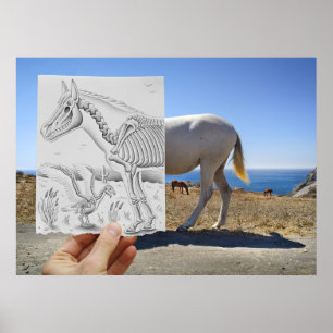 Poster Câmera De Lápis - Raio-X