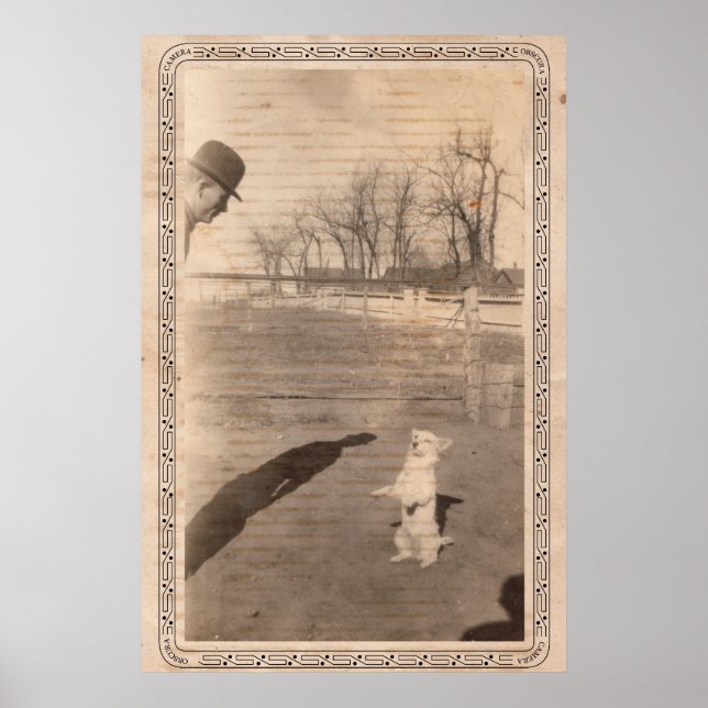 Poster Camera Obscura #351 (Frente)