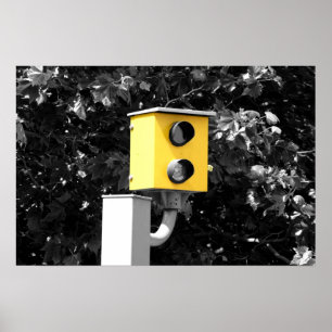 Pôster Câmera Speed