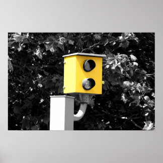 Pôster Câmera Speed