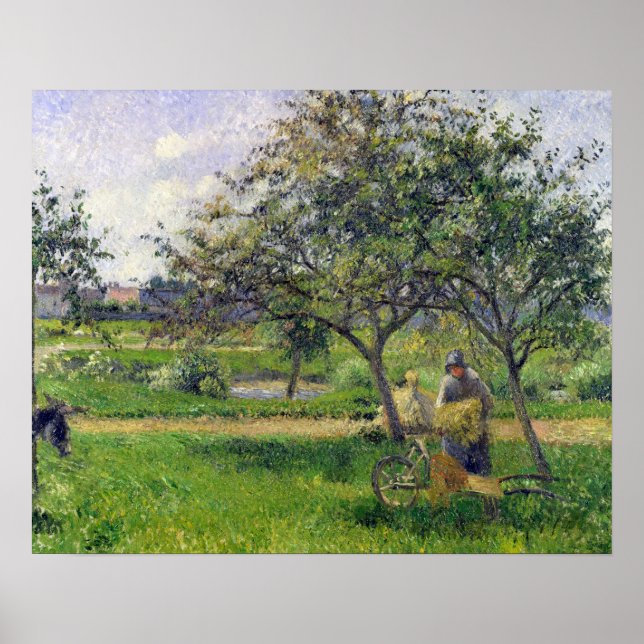 Pôster Camille Pissarro | Barriga de roda, pomar, c.188 (Frente)