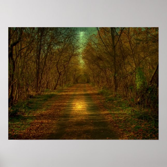 Pôster caminhada à lua (Frente)