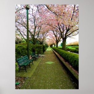 Poster Caminhada verde