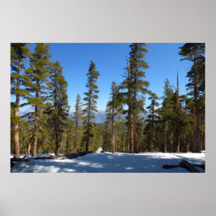 Poster Caminhando do Pico Mitchell em Sequoia