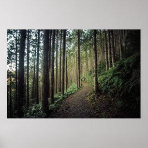 Poster Caminhando nas montanhas Wakayama, Japão