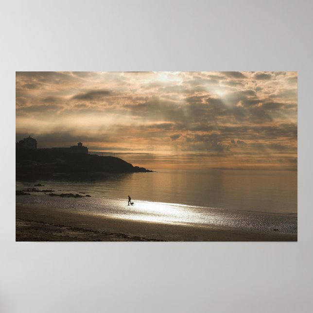 Pôster Caminhando o Cachorro na praia de Douglas (Frente)