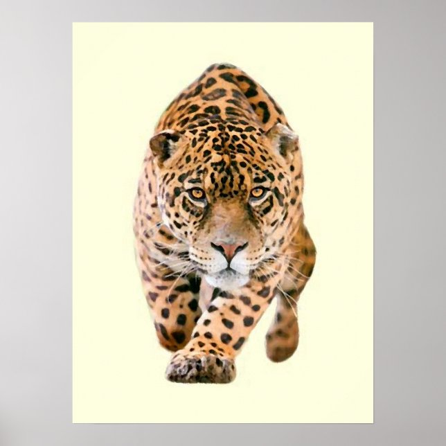 Poster Caminhando Olhos de Jaguar (Frente)
