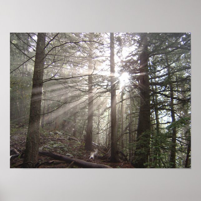 Pôster Caminhando pelas nuvens (Frente)