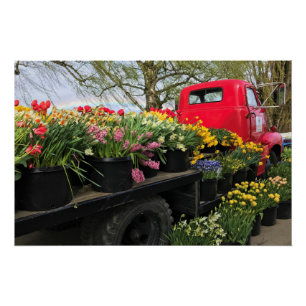 Pôster Caminhão Vermelho com Flores de primavera e Arco-Í