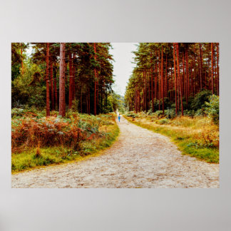 Poster Caminhar na floresta na natureza