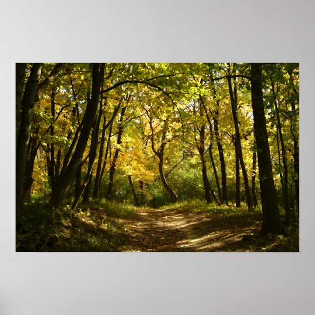 Poster Caminho (Frente)