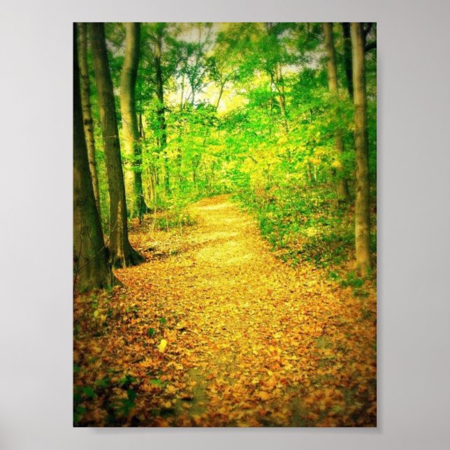 Poster Caminho (Frente)