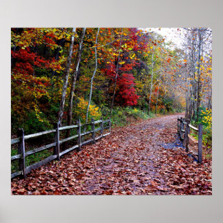 Pôster Caminho Aberto