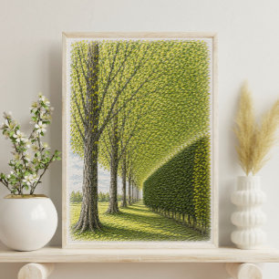 Poster Caminho Arborizado Arte de Paisagem Botânica
