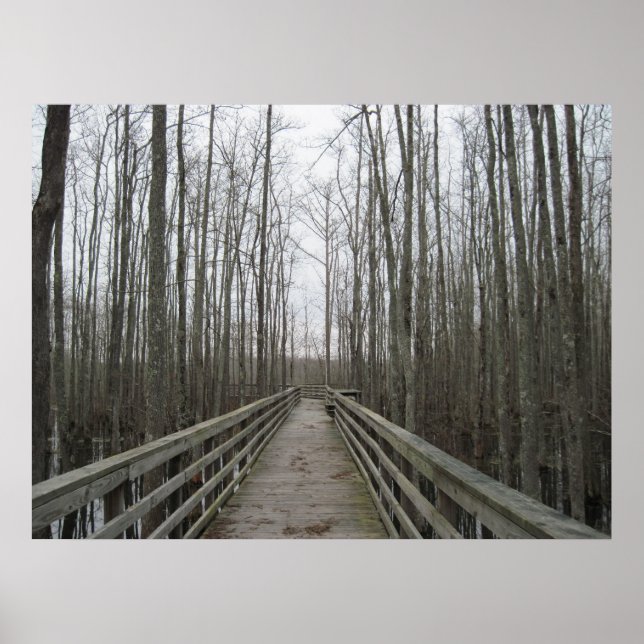 Poster Caminho através da natureza (Frente)