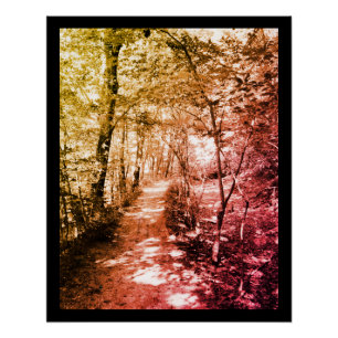 Pôster Caminho da Fé