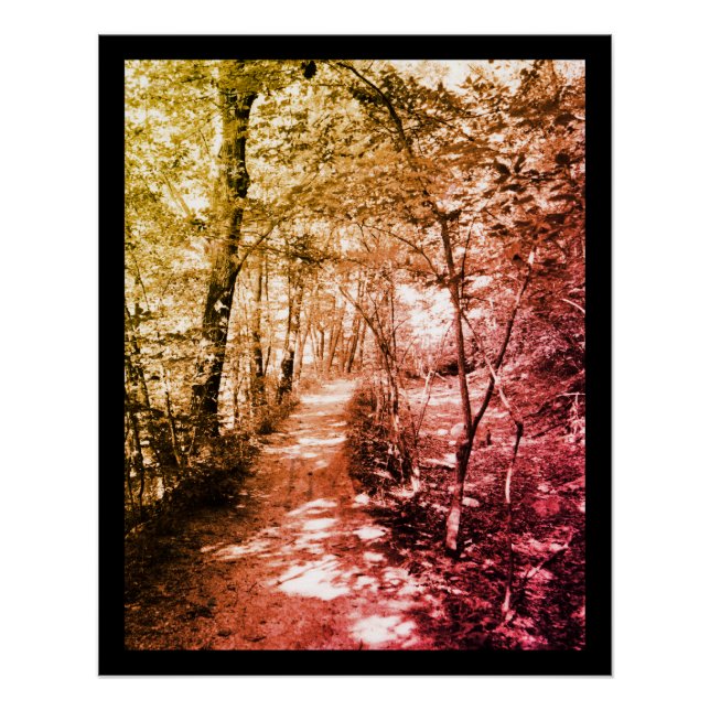 Pôster Caminho da Fé (Frente)