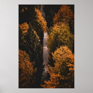 Poster Caminho da Floresta do outono