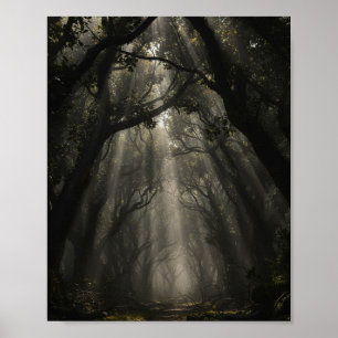 Poster Caminho da Floresta Encantada: Luz Etérea e Sombra