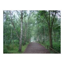 Caminho da Floresta Sherwood