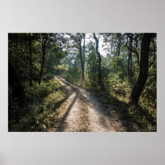 Poster Caminho da Selva de Chitwan: Trilha da Floresta Su