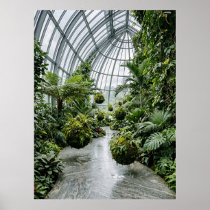 Poster Caminho da Selva na Estufa Tropical