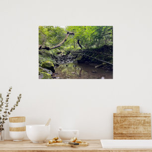 Poster Caminho de ferro Abandonado