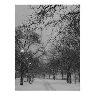 Pôster Caminho de Inverno