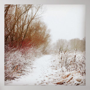 Poster Caminho de inverno pacífico