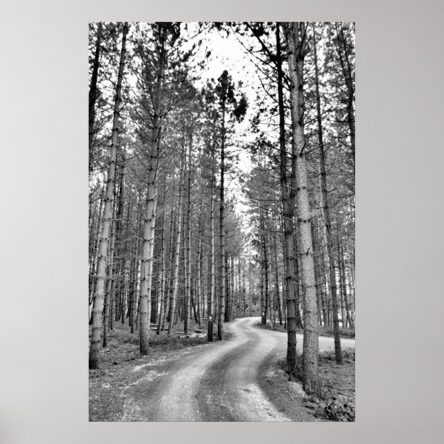 Poster Caminho de Winding (Frente)