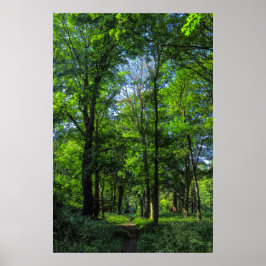 Poster Caminho de Woodland. Blackweir Woods, Cardiff, Gal