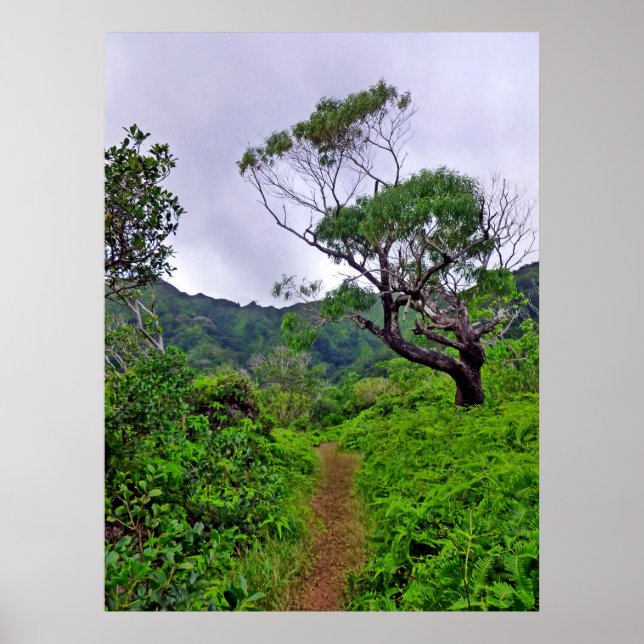 Poster Caminho do Havaí (Frente)