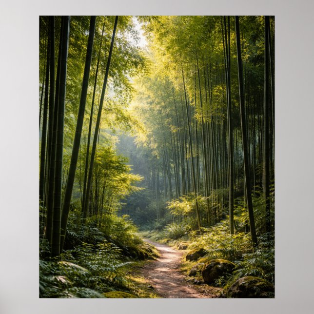 Poster Caminho Ensolarado Através da Floresta de Bambu (Frente)