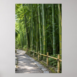 Poster Caminho Espesso da Floresta de Bambu com Cerca Rús