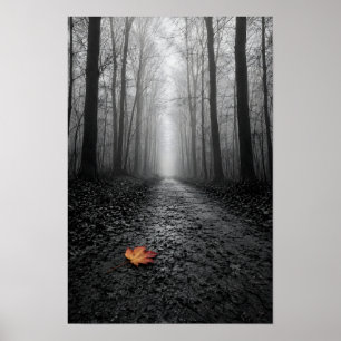 Poster Caminho Florestal Nebuloso Cor Seletiva