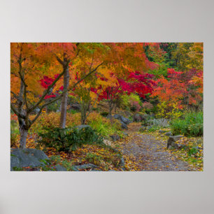 Poster Caminho leva ao banco do parque