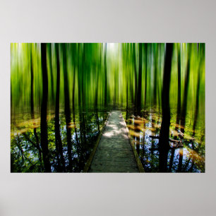 Poster Caminho Misterioso