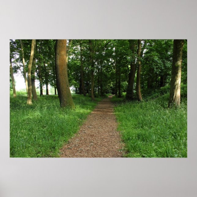 Pôster Caminho nas Florestas, Parque de Bute, Cardiff (Frente)